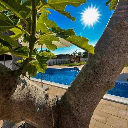 Apartamento Bonex *